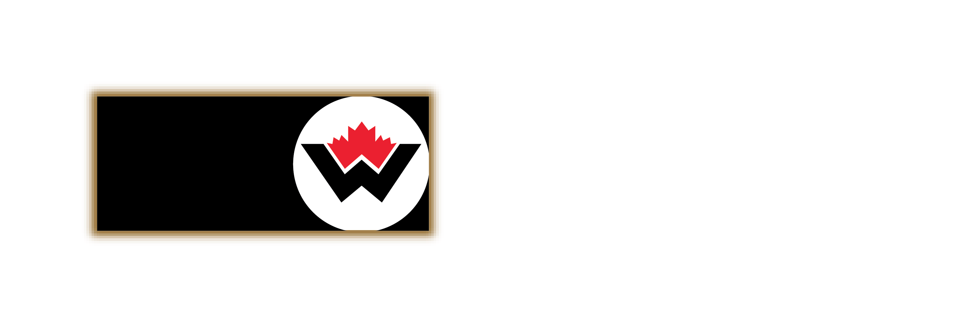 Western Oilfield Specialties Corp